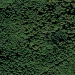 Satellite imagery of Kalte Nase, DE