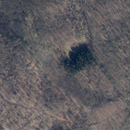 Satellite imagery of Pagenberg, DE