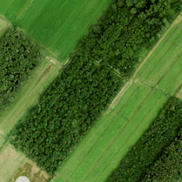 Satellite imagery of Walenburg, NL