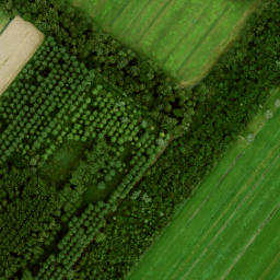 Satellite imagery of Walenburg, NL