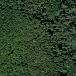 Satellite imagery of Schellenberg, DE