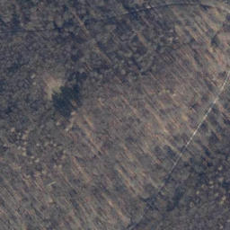 Satellite imagery of Pagenberg, DE