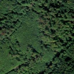 Satellite imagery of Schellenberg, DE