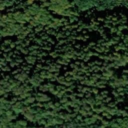 Satellite imagery of Busseberg, DE