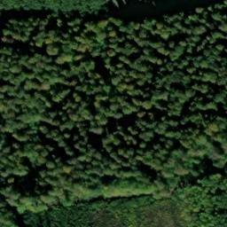 Satellite imagery of Busseberg, DE