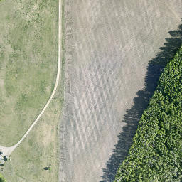 Satellite imagery of Moose Mountain, CA