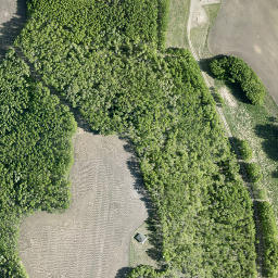 Satellite imagery of Moose Mountain, CA