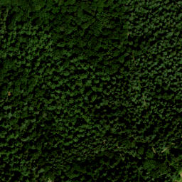 Satellite imagery of Kasteel Enghuizen, NL