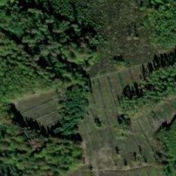 Satellite imagery of Busseberg, DE