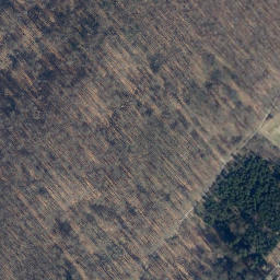 Satellite imagery of Lotberg, DE