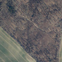 Satellite imagery of Sauberg, DE