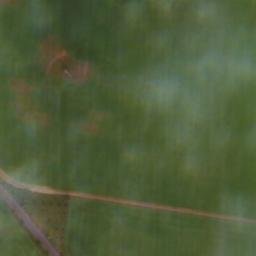 Satellite imagery of Spitzer Berg, DE