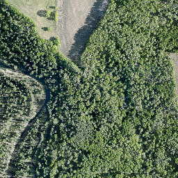 Satellite imagery of Moose Mountain, CA