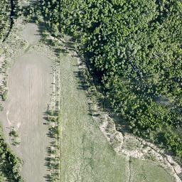 Satellite imagery of Moose Mountain, CA