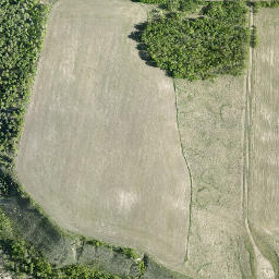 Satellite imagery of Moose Mountain, CA