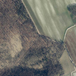 Satellite imagery of Hainholzberg, DE