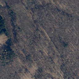 Satellite imagery of Rosenberg, DE