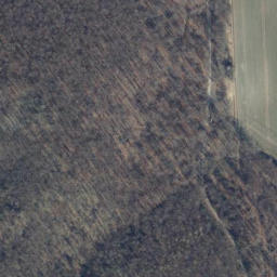 Satellite imagery of Schneeberg, DE