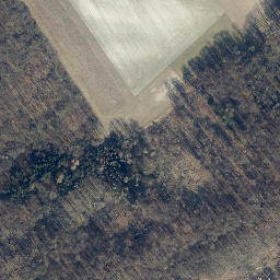Satellite imagery of Reißel, DE