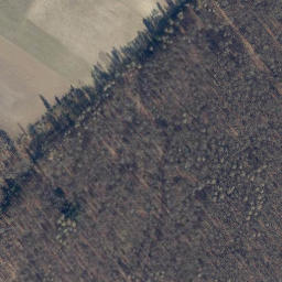 Satellite imagery of Saurenberg, DE