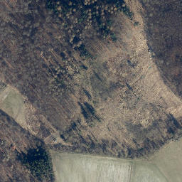 Satellite imagery of Hainholzberg, DE