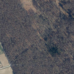 Satellite imagery of Rosenberg, DE