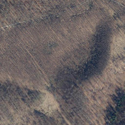 Satellite imagery of Reißel, DE