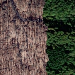 Satellite imagery of Beckerberg, DE