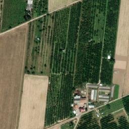Satelita