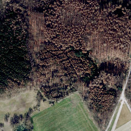 Satellite imagery of Dicker Berg, DE