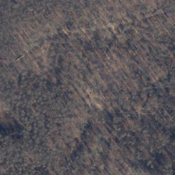 Satellite imagery of Totermann, DE