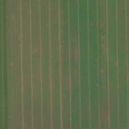 Satellite imagery of Quellenhoch, DE