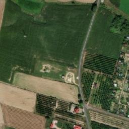 Satelita