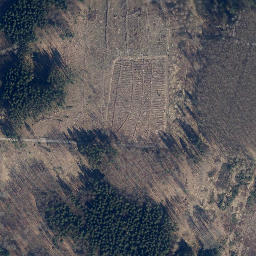 Satellite imagery of Totermann, DE