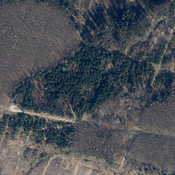 Satellite imagery of Totermann, DE