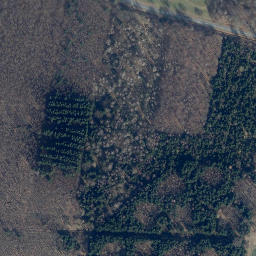 Satellite imagery of Birkenberg, DE