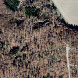 Satellite imagery of Dicker Berg, DE
