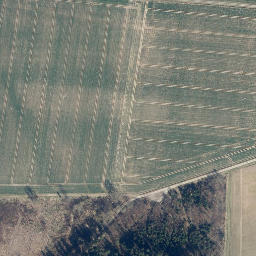 Satellite imagery of Birkenberg, DE