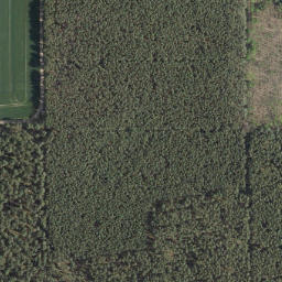 Satellite imagery of Möllelberg, DE