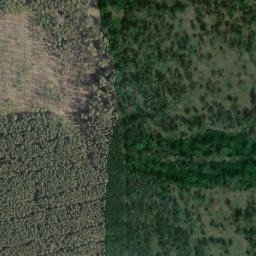 Satellite imagery of Möllelberg, DE