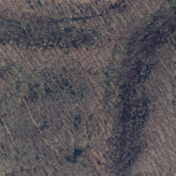 Satellite imagery of Kuckucksberg, DE
