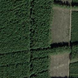 Satellite imagery of survey_point, PL