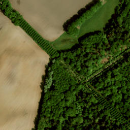 Satellite imagery of Kasteel Slangenburg, NL