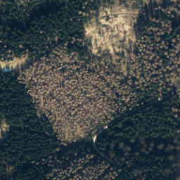 Satellite imagery of Blosse Zelle, DE