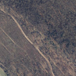 Satellite imagery of Steinberg, DE