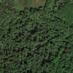 Satellite imagery of Buchenberg, DE