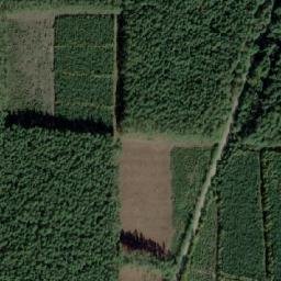Satellite imagery of survey_point, PL