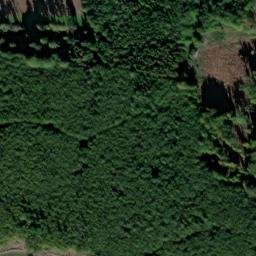 Satellite imagery of Bunerberg, DE