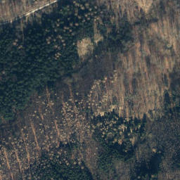 Satellite imagery of Tanzberg, DE