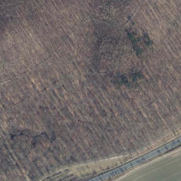 Satellite imagery of Langenberg, DE